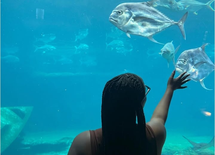 aquarium@ushaka